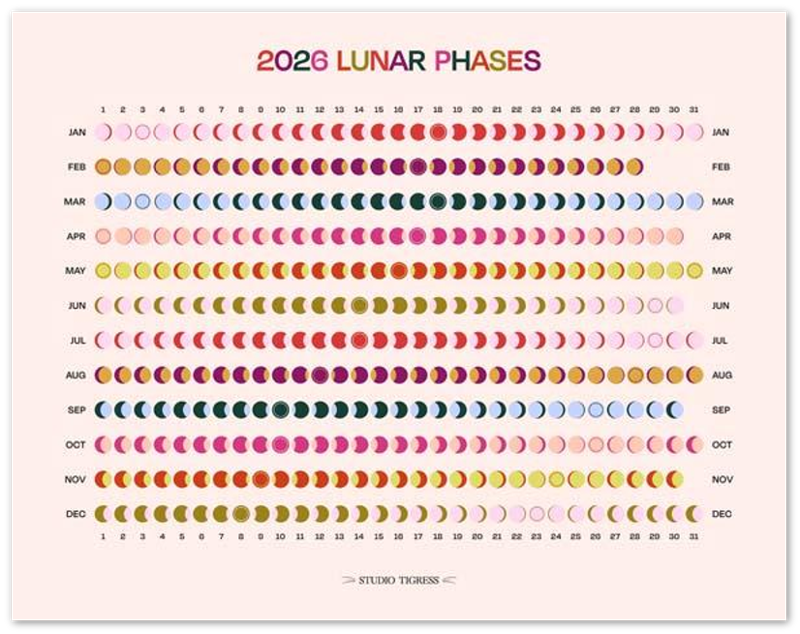 e91f9a43-75b7-4d3a-ba11-03768968e02b